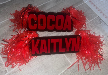 Cheer stick