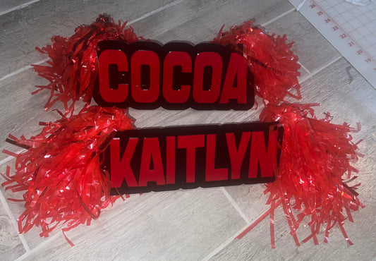 Cheer stick
